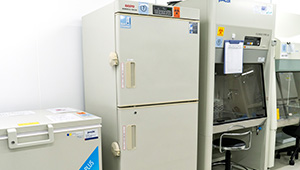 バイオメディカルフリーザー　MDF-U537D